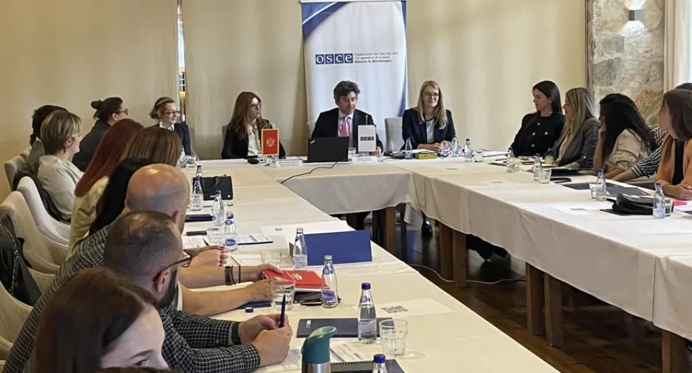 Misija OEBS-a u Crnoj Gori podržava op&scaron;tine u izradi lokalnih akcionih planova za mlade