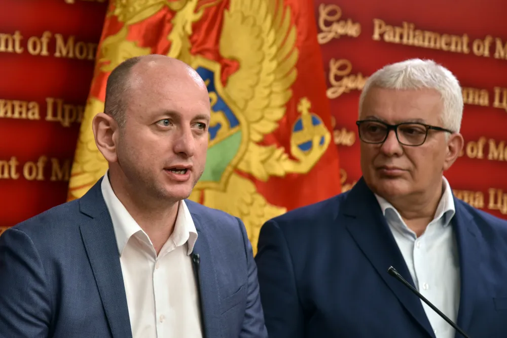 ZBCG: &Scaron;ćepanović da podnese ostavku, Mandić će inicirati hitnu sjednicu Savjeta za bezbjednost