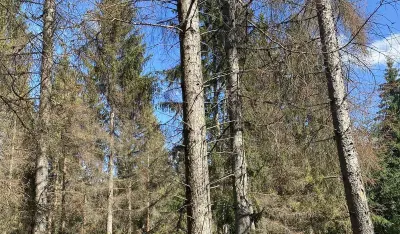 Potkornjak izazvao ekolo&scaron;ki genocid nad Prokletiјama