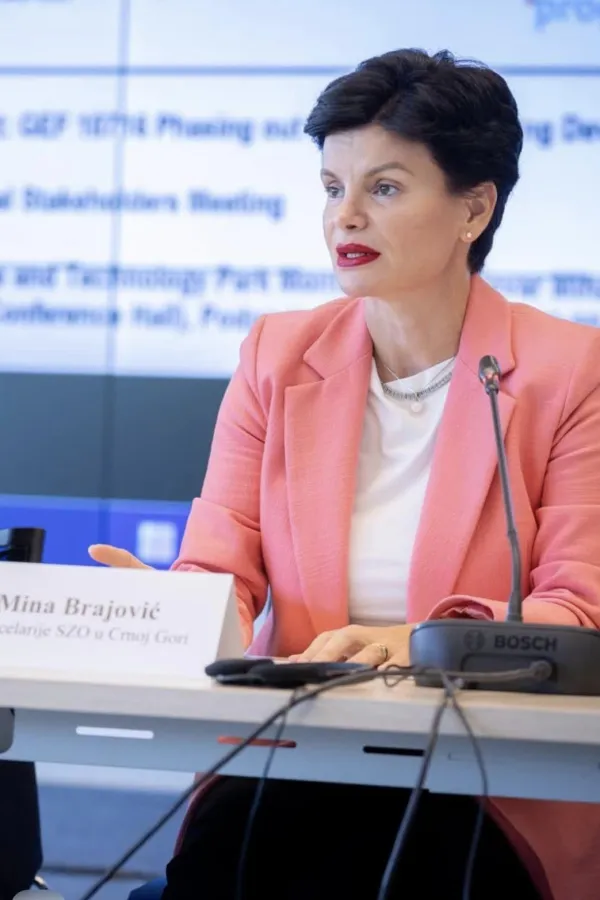 Mina Brajović, SZO