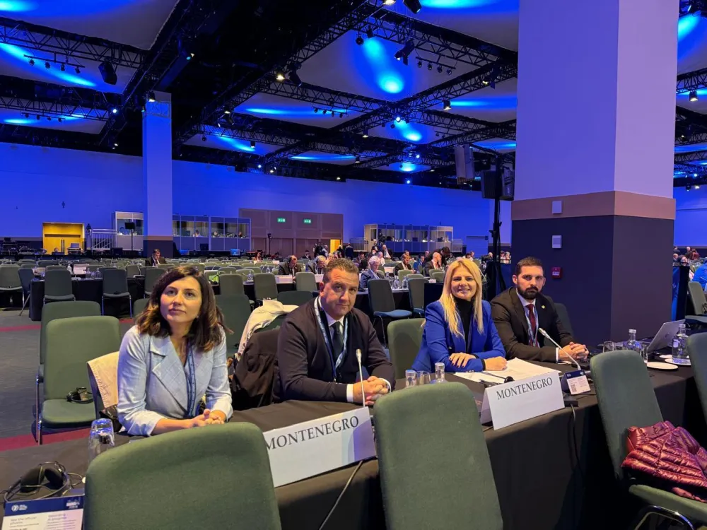 Klimatske promjene i migracije u fokusu drugog dana jesenjeg zasijedanja Parlamentarne skup&scaron;tine OEBS