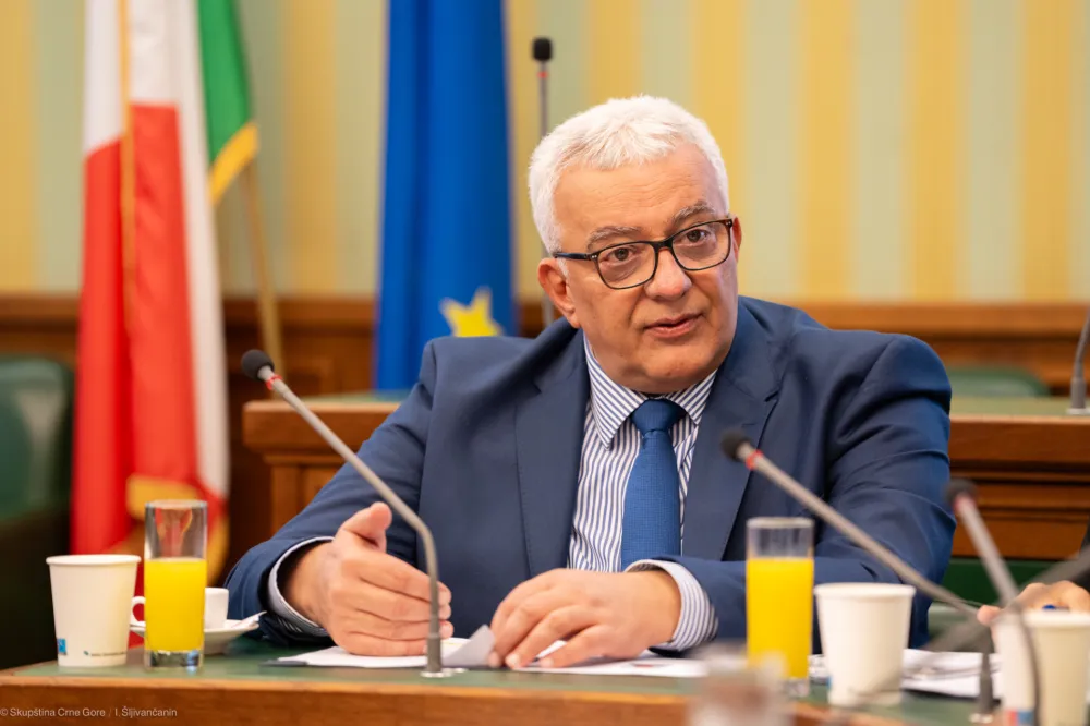 Mandić: Uvjeren sam da će na&scaron;e spasilačke službe pomoći Bosni i Hercegovini