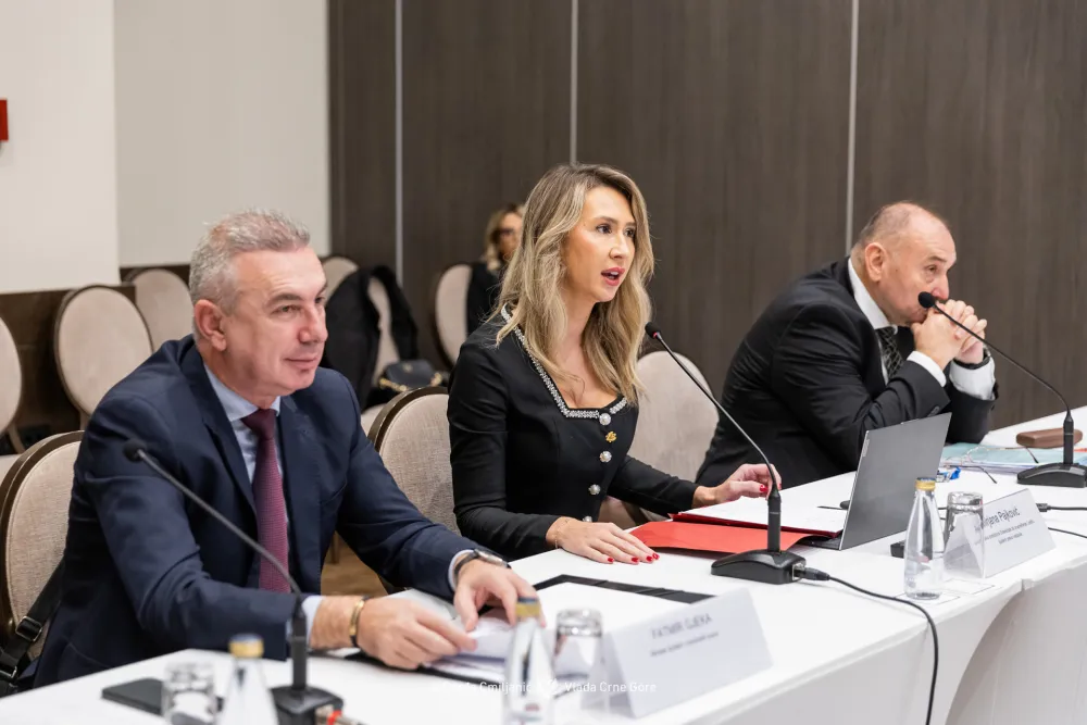 Sa sastanka Radne grupe za izradu Nacrta zakona o Za&scaron;titniku/ci ljudskih prava i sloboda Crne Gore