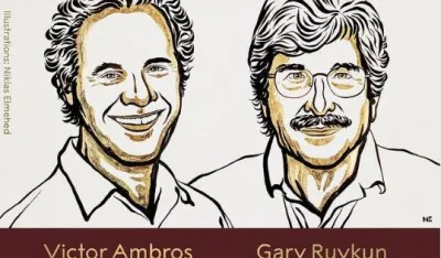 Dobitnici Nobelove nagrade za medicinu, AMbros i RUvkun
