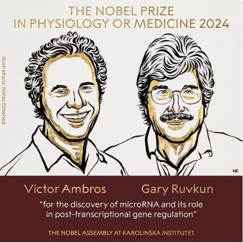 Dobitnici Nobelove nagrade za medicinu, AMbros i RUvkun
