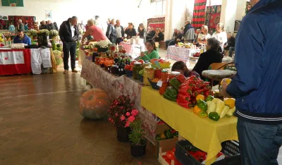 Zdrava hrana razvoјna &scaron;ansa sјevera