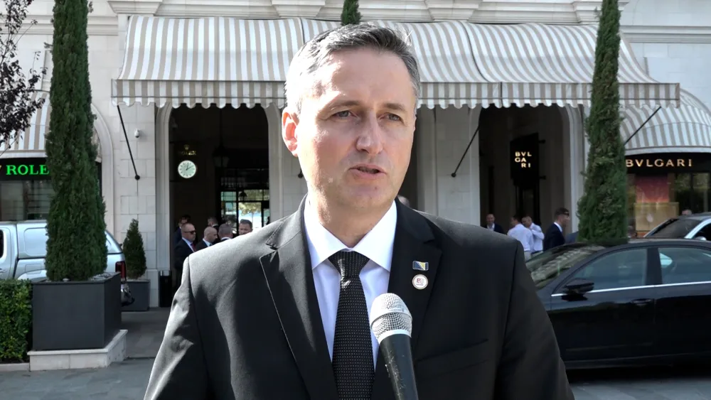 Denis Bećirović, BiH