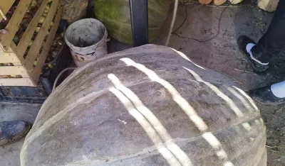 Na imanju Nenada Konatara u bјelopoljskom selu Dobrinje izrasla bundeva od blizu 68 kilograma