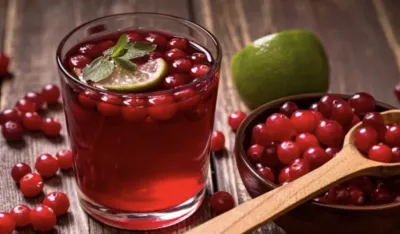 Moćna brusnica jača imunitet