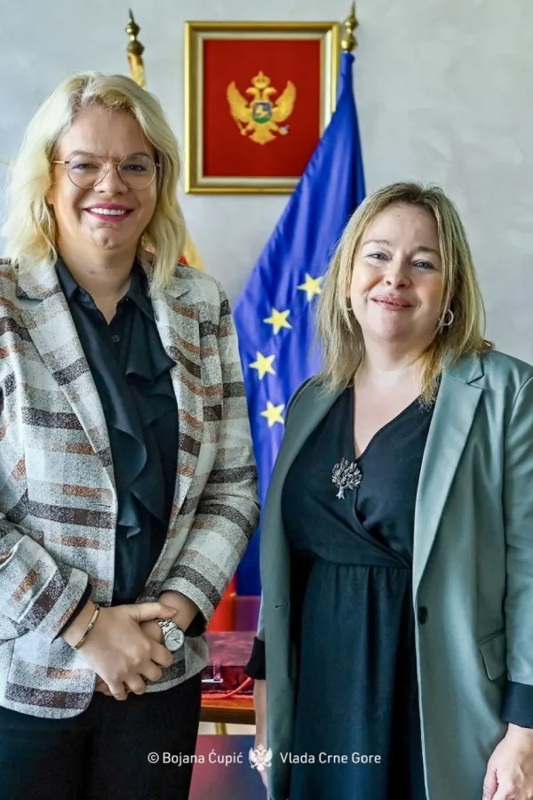 Vukićević: Crna Gora otvorena za francuske investitore