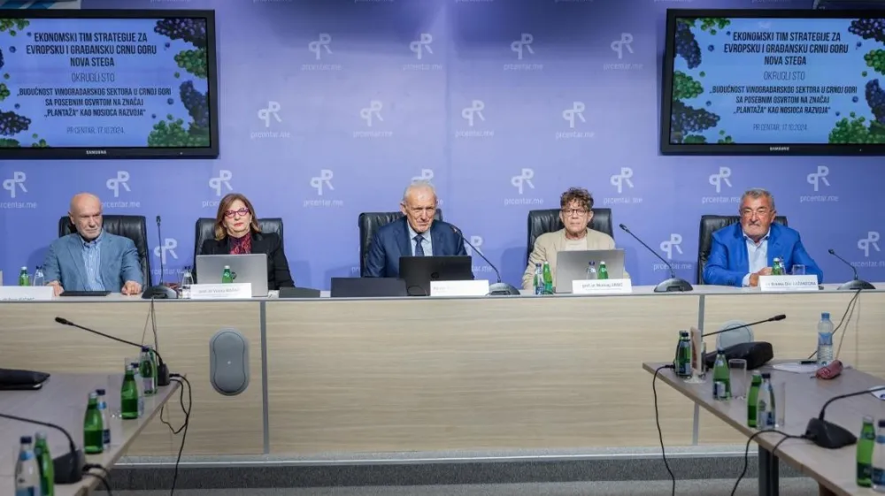 Pronaći načine za dalji opstanak i razvoj Kompanije Plantaže