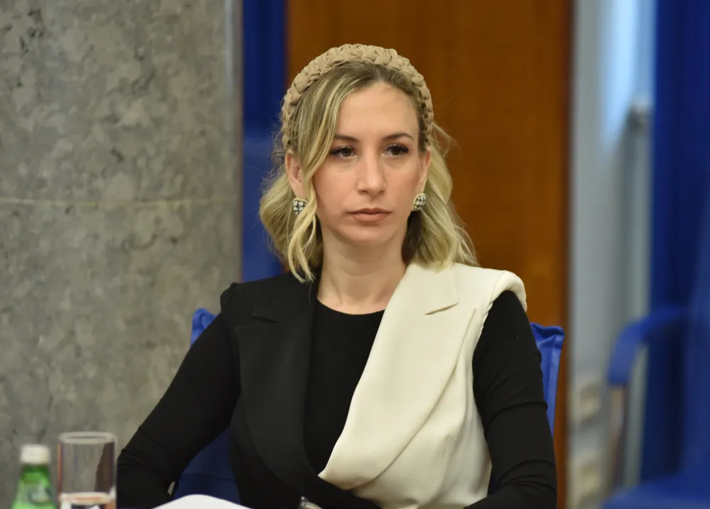 skupstinski odbor za ekonomiju