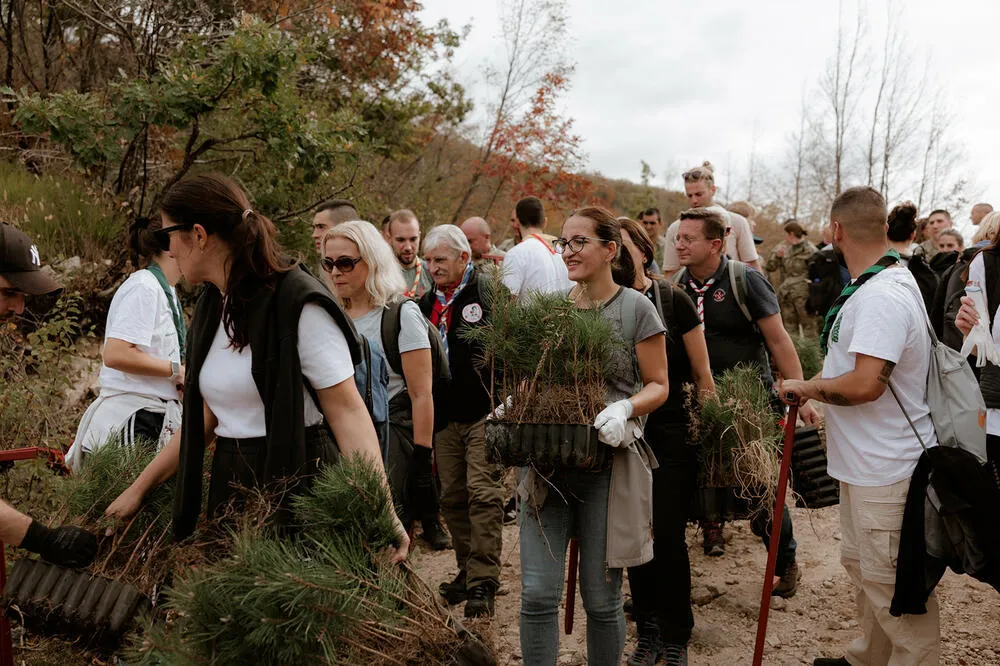 Na planini Vojnik 140 volontera zasadilo 8.000 sadnica crnog bora