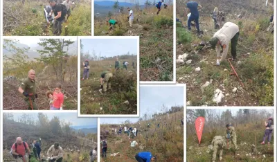 Po&scaron;umljavanje planine Vojnik