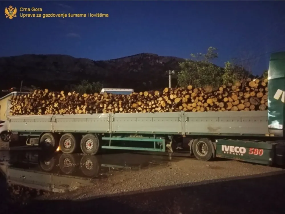Osam prijava za bespravan promet drvnih sortimenata