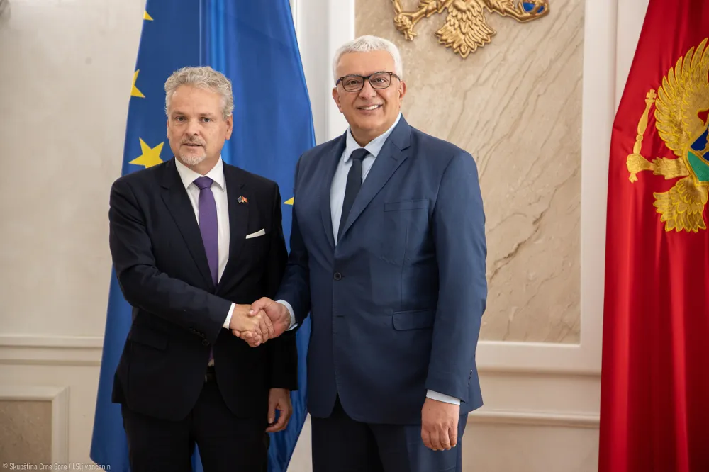 Johan Satler i Andrija Mandić