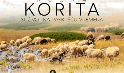 Plakat za film