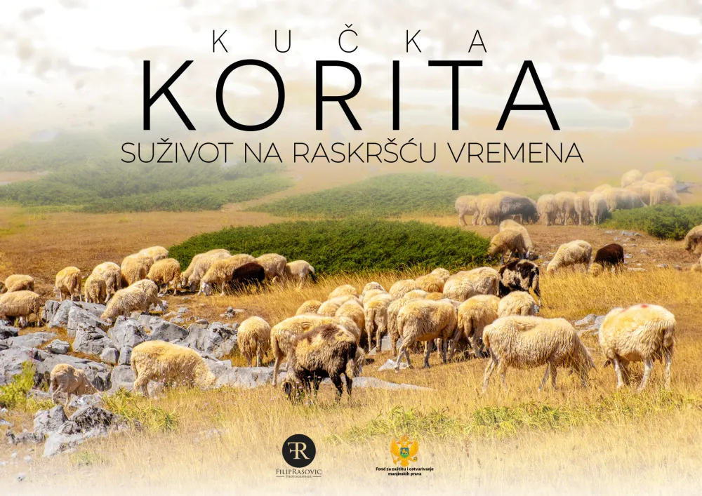 Plakat za film