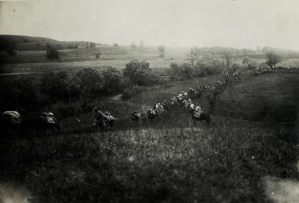 General Alfred Kraus o austrougarskoj operaciji protiv Srbije 1914. godine (5): Slabo dejstvo austrougarske artiljerije