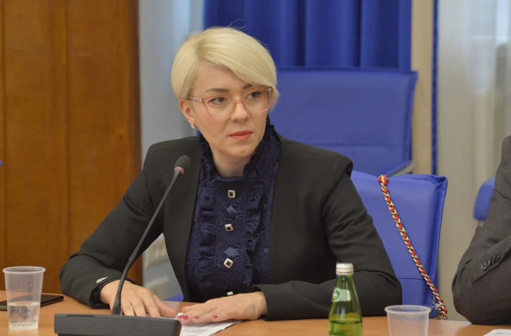 Odbor za ekonomiju, Odbor za ekonomiju amandmani na budzet, amandmani na budzet, Jelena Bozovic