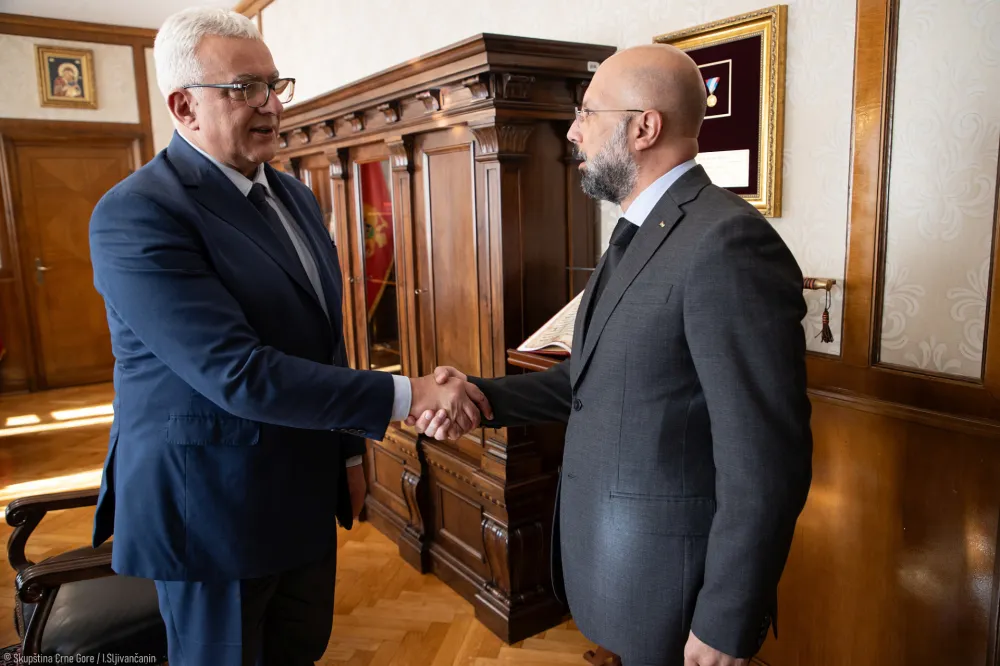 Andrija Mandić i Rabi Alhantouli