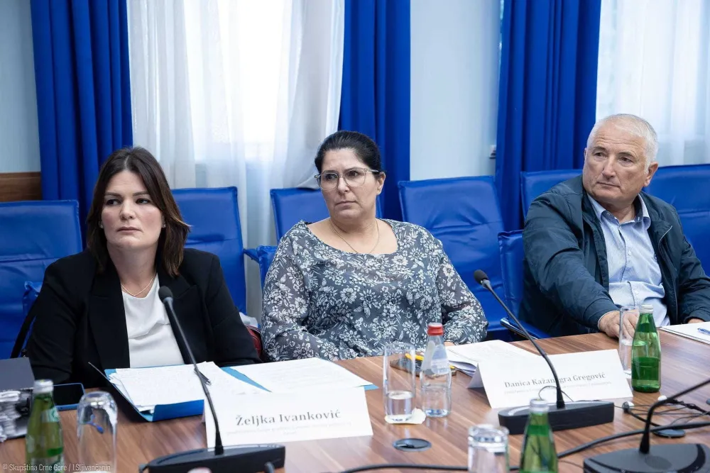 Problemi vlasnika 67,8 hiljada kvadrata zemlji&scaron;ta na Zavali stigli do Skup&scaron;tine: Za svoјu imovinu se bore 17 godina
