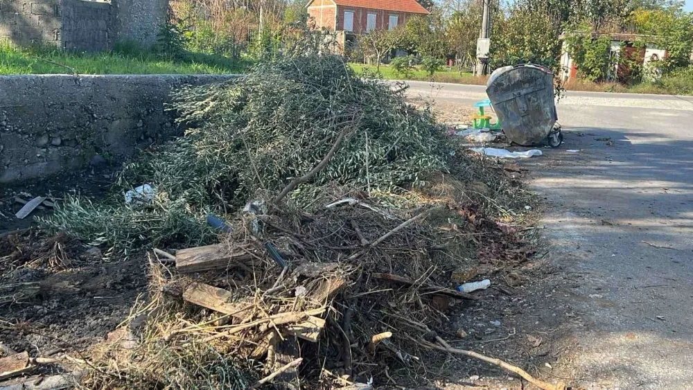 Čistoća u Zeti počinje sa radom u februaru