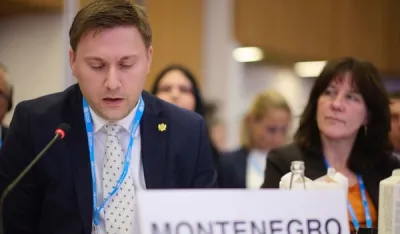 Vojislav &Scaron;imun