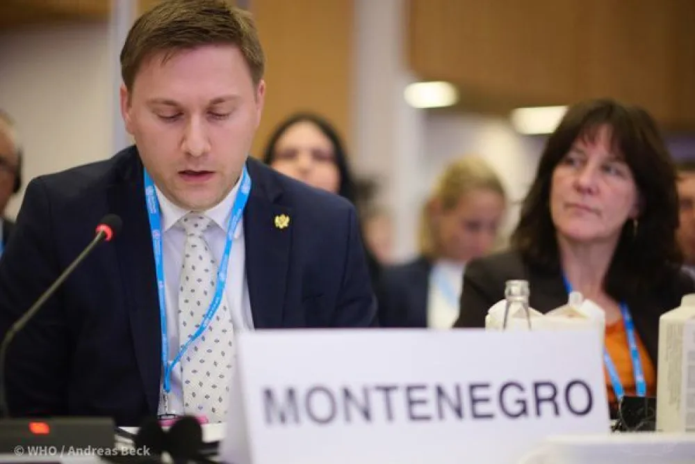 Vojislav &Scaron;imun