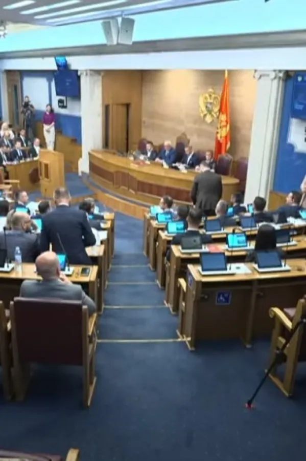 Delegacija Skup&scaron;tine dio međunarodne misije za praćenje izbora u SAD-u