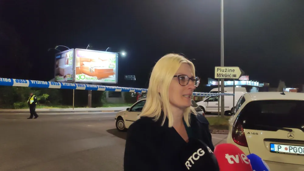 (VIDEO) Tužiteljka o ubistvu Lipovine i Pejakovića: Ubice ispalile vi&scaron;e od 30 projektila