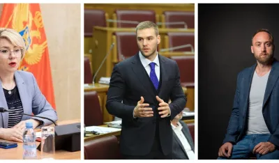  Vanredni parlamentarni izbori (ne)poželjna opciјa