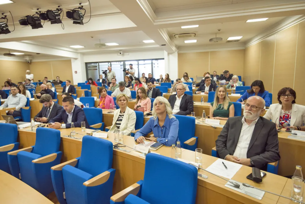 sjednica skupstine glavnog grada
