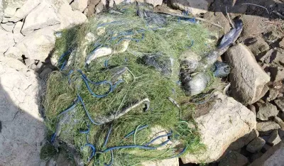 Na Krupačkom i Bilećkom jezera zapliјenili mreže pune uginule ribe