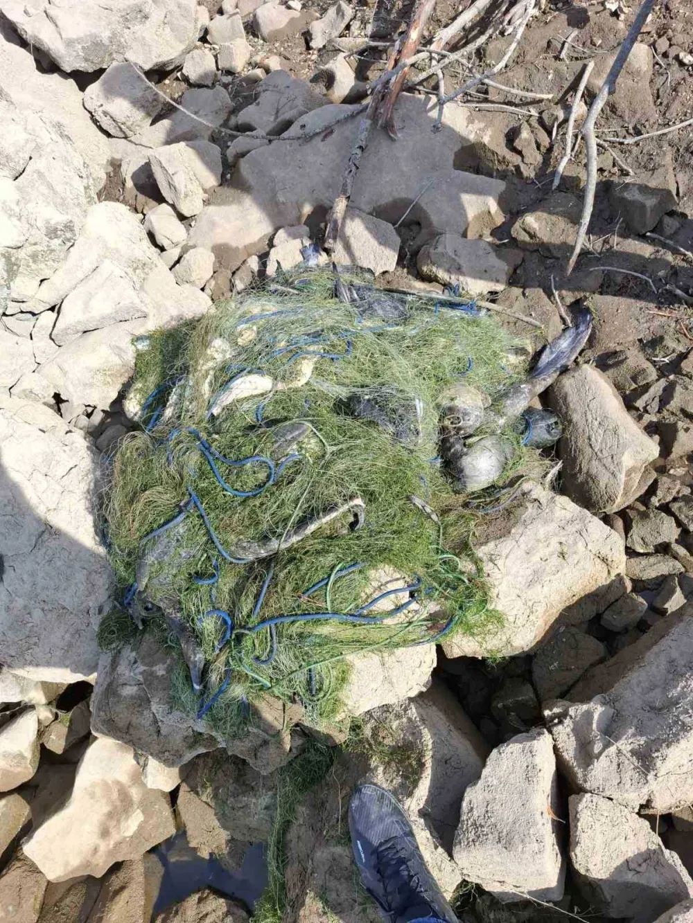 Na Krupačkom i Bilećkom jezera zapliјenili mreže pune uginule ribe