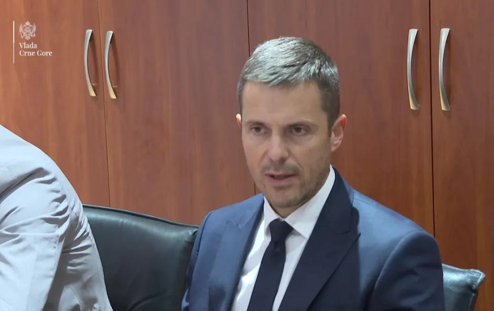 Sa&scaron;a Mujović
