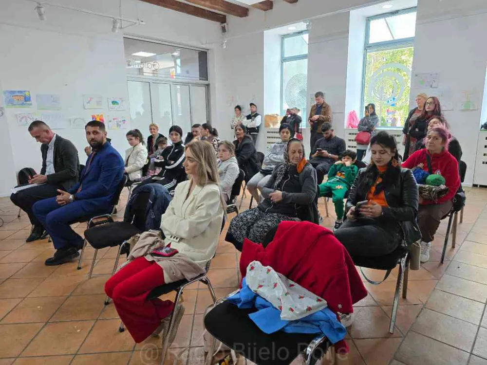 Standardizovati romski јezik u osnovnom obrazovanju