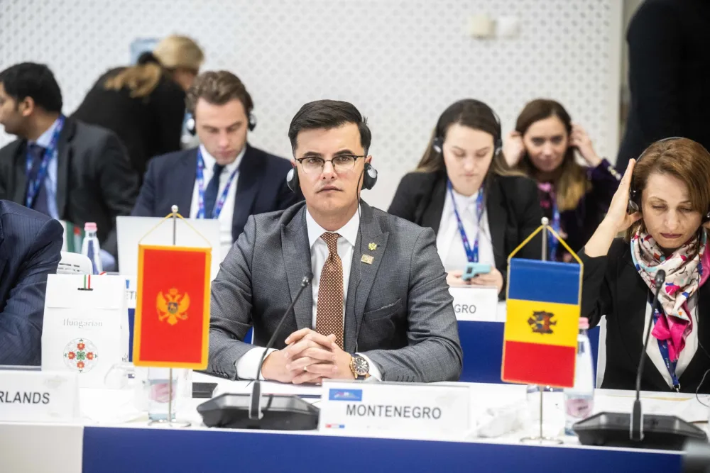 &Scaron;aranović: Crna Gora kontinuirano sporovdi aktivnosti na suzbijanju nezakonitih migracija