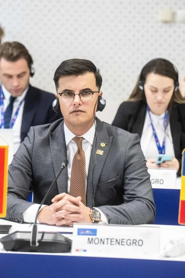 &Scaron;aranović: Crna Gora kontinuirano sporovdi aktivnosti na suzbijanju nezakonitih migracija