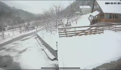 Kola&scaron;in, Jabuka