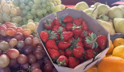 Za kilogram јagoda 12 kila mandarina