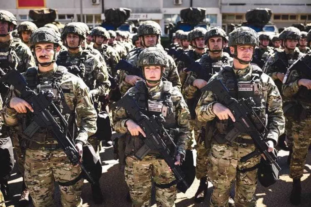 Dobrovoljni vojni rok