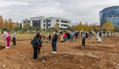 &Scaron;ezdeset studenata zasadilo svoje stablo znanja u studentskom parku Univerziteta CG