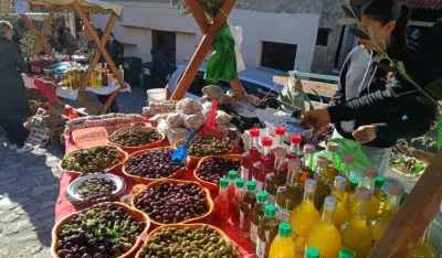 U Starom Baru svečano otvoreno 22 izdanje "Maslinijade": Praznik tradicije, kulture i zajedni&scaron;tva