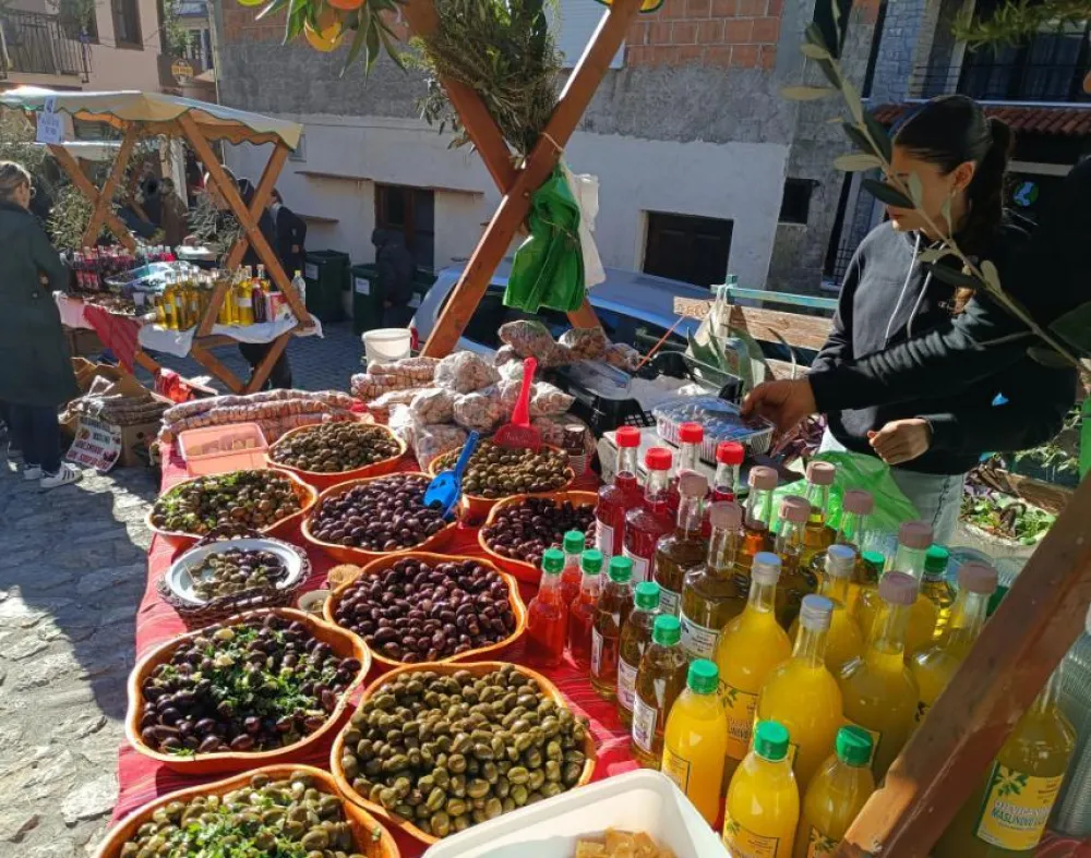 U Starom Baru svečano otvoreno 22 izdanje "Maslinijade": Praznik tradicije, kulture i zajedni&scaron;tva