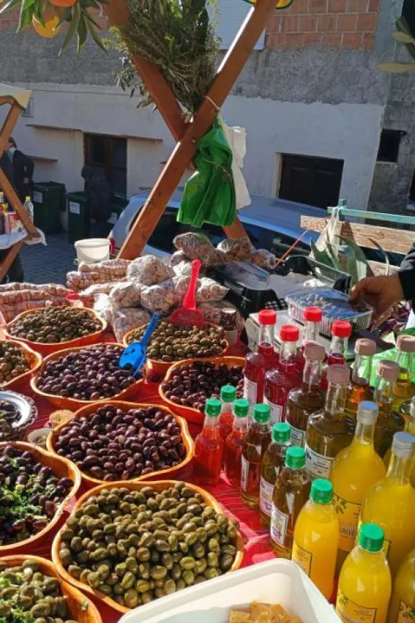 U Starom Baru svečano otvoreno 22 izdanje "Maslinijade": Praznik tradicije, kulture i zajedni&scaron;tva