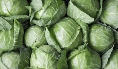 Kupus izuzetno utiče na zdravlje bubrega