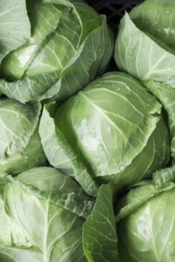 Kupus izuzetno utiče na zdravlje bubrega