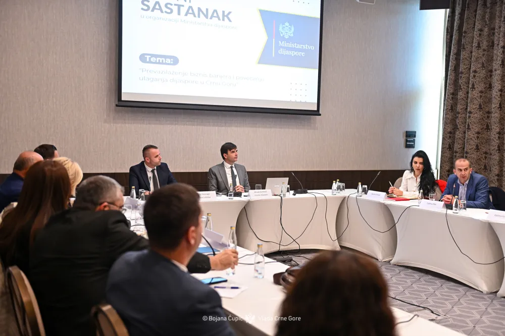 Radni sastanak Ministarstva dijaspore sa predstavnicima op&scaron;tina Crne Gore