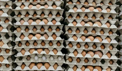 SAD: Poskupljuju jaja, ima i nesta&scaron;ica pred praznike